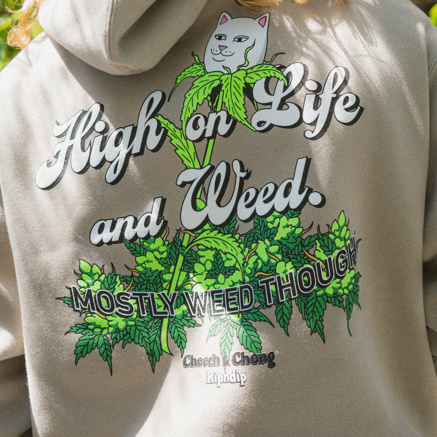 Hoodie High on life