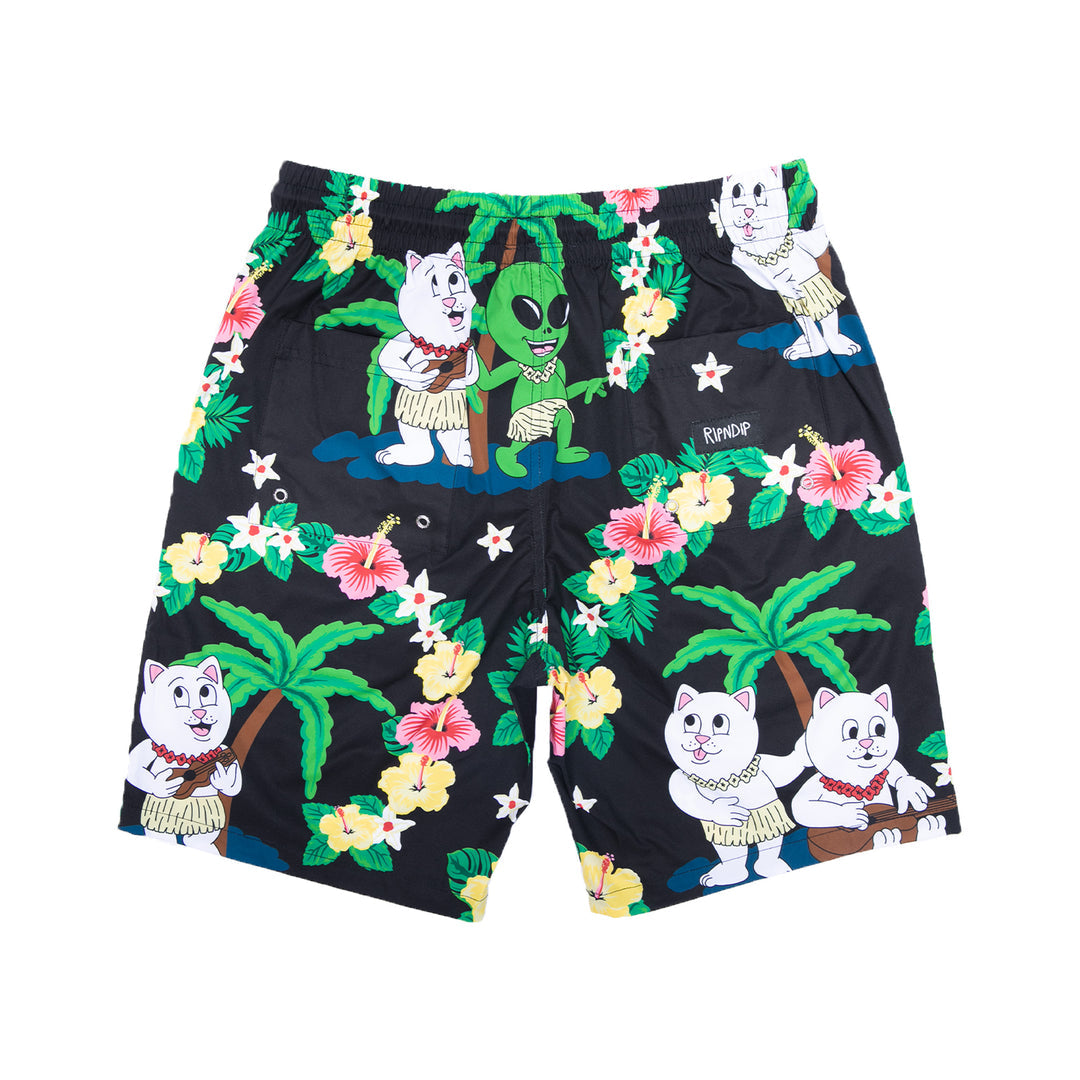 Aloha Nerm swinshort (black)